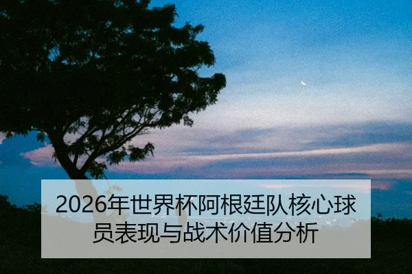 nian-shi-jie-bei-a-gen-ting-dui-he-xin-qiu-yuan-biao-xian-yu-zhan-shu-jia-zhi-fen-xi-2-838.jpg